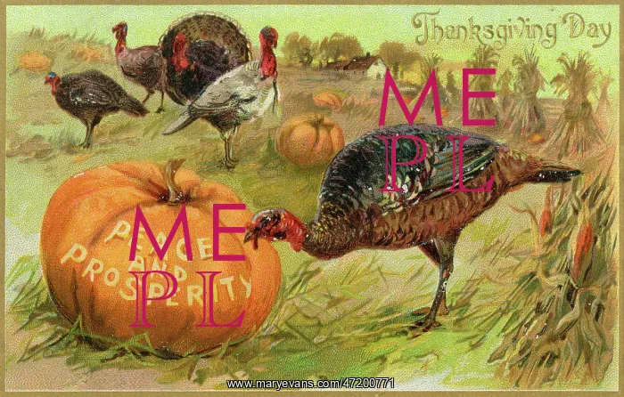 : Turkey at Thanksgiving : Turkey at Thanksgiving