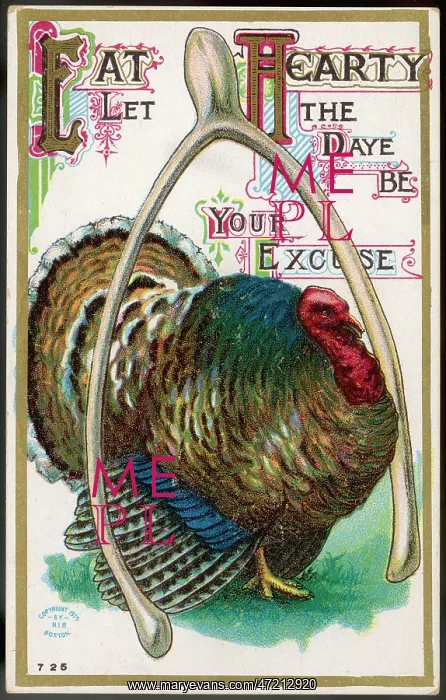 : Turkey and Wishbone : Turkey and Wishbone
