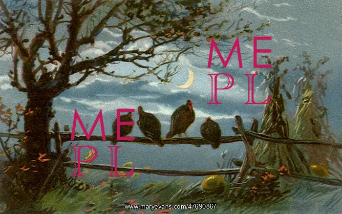  : Four Turkeys on Fence