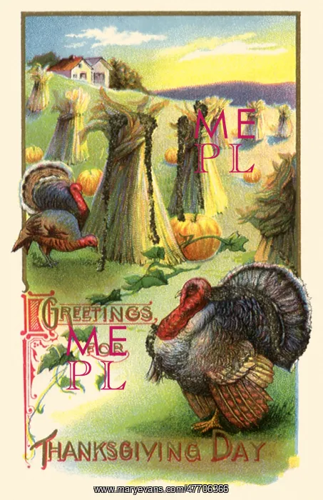 : Turkeys, Pumpkins, Hay : Turkeys, Pumpkins, Hay