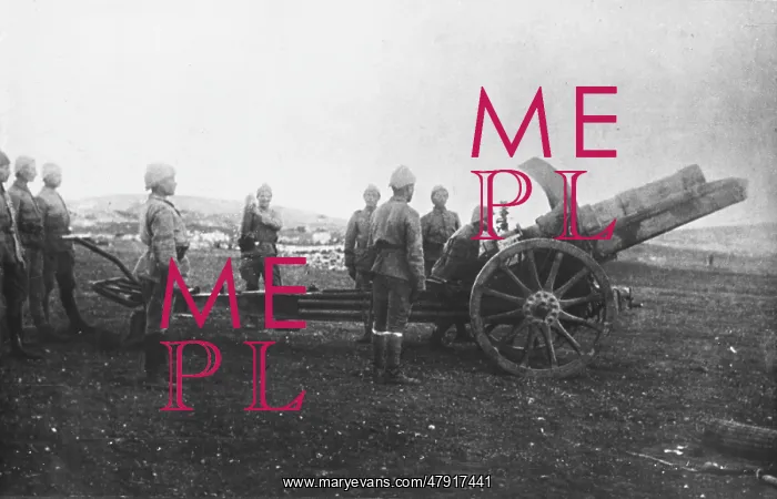  : Turkish artillery WWI