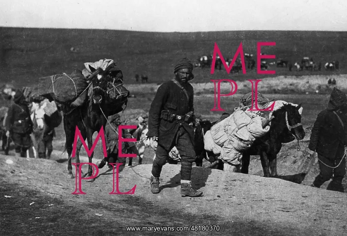 : Turkish baggage column in the First World War, 1914 : Turkish baggage column in the First World War, 1914