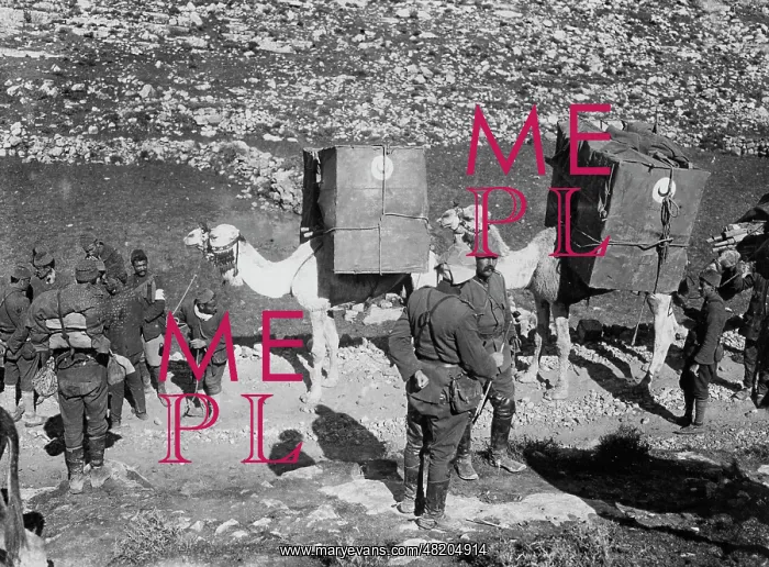 : Turkish camel caravan in World War I, 1917 : Turkish camel caravan in World War I, 1917