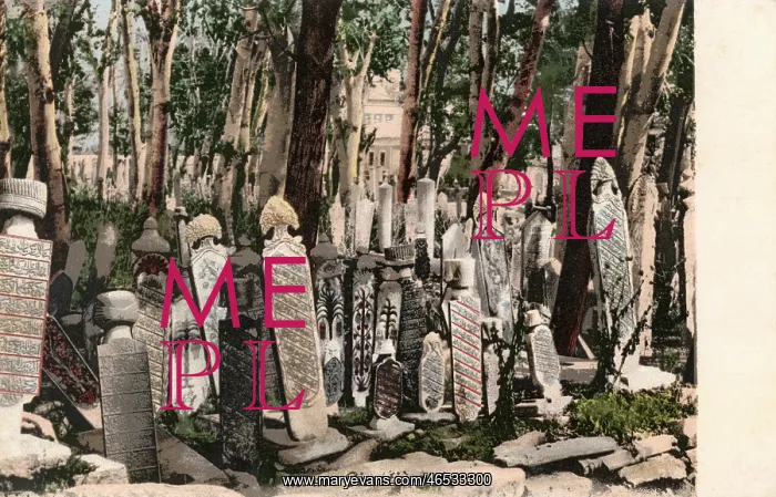  : Turkish Cemetery, Istanbul