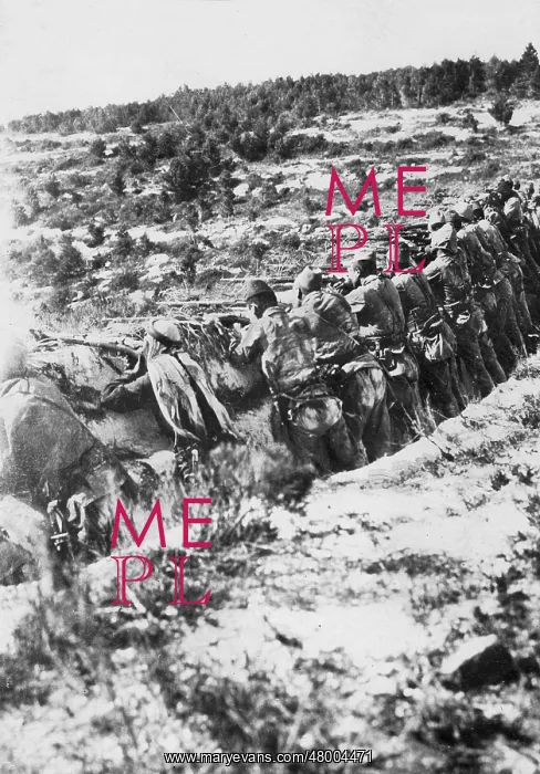 : Turkish line infantry in defensive position, WW1 : Turkish line infantry in defensive position, WW1
