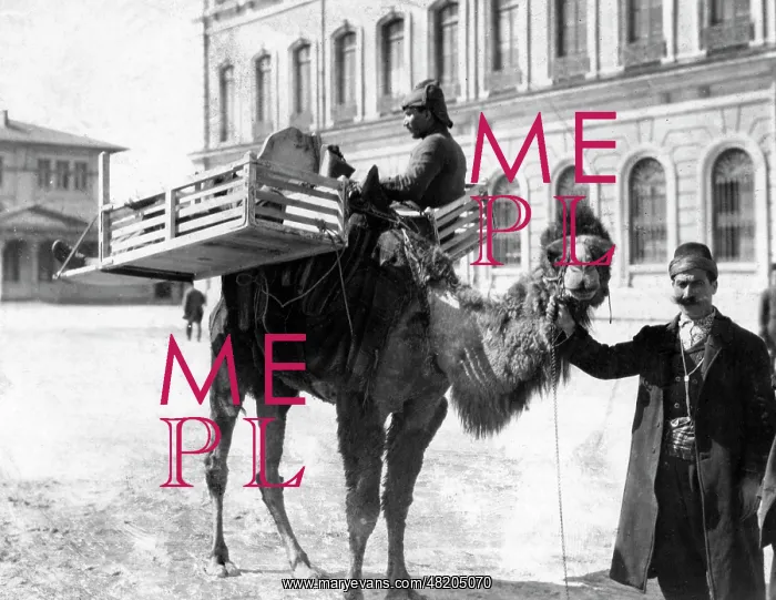 : Turkish patient transport, 1915 : Turkish patient transport, 1915