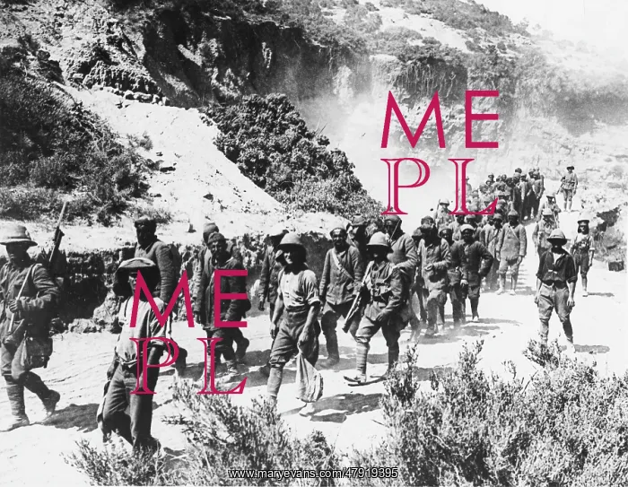 : Turkish prisoners WWI : Turkish prisoners WWI