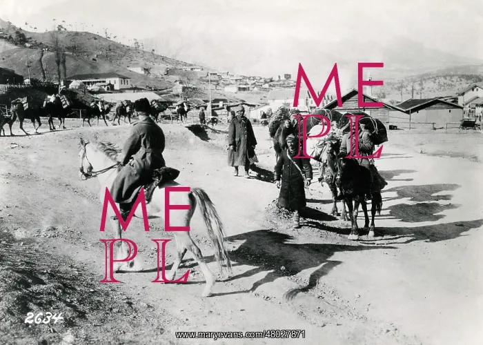 : Turkish troops transporting supplies, WW1 : Turkish troops transporting supplies, WW1