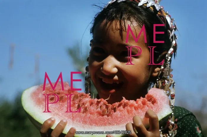 : Turkmen watermelon, 1975 : Turkmen watermelon, 1975