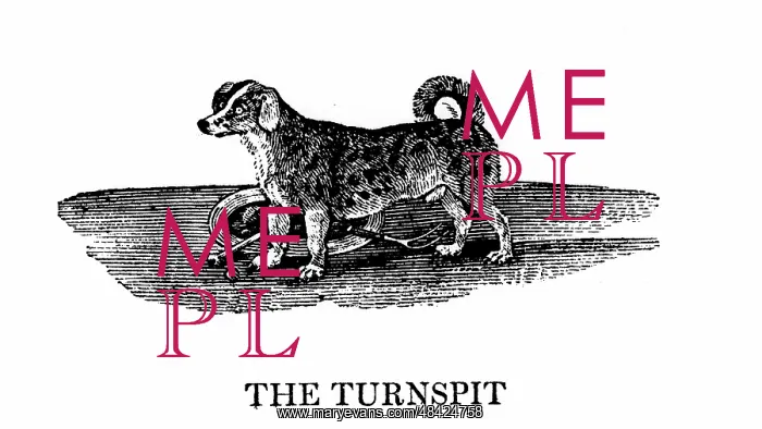 : Turnspit dog. These short-legged dogs were bred : Turnspit dog. These short-legged dogs were bred