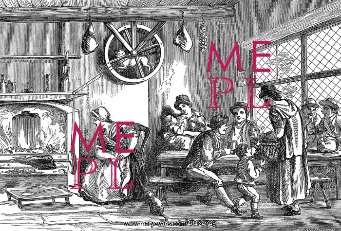 : Turnspit dog at work in the inn at Newcastle : Turnspit dog at work in the inn at Newcastle