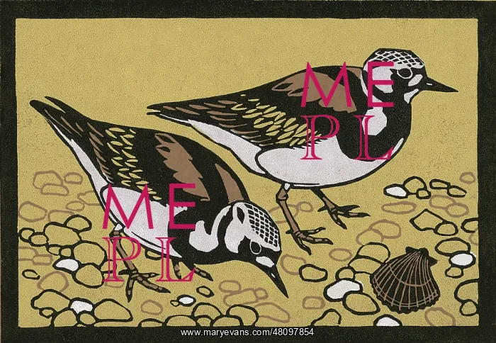 : Turnstones : Turnstones