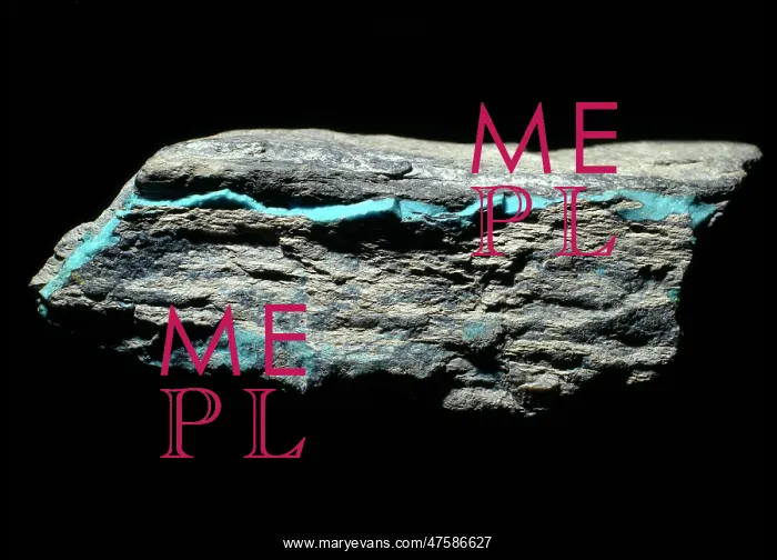 : Turquoise vein in shale : Turquoise vein in shale
