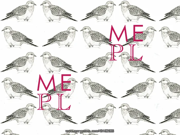  : Turtle dove repeating pattern