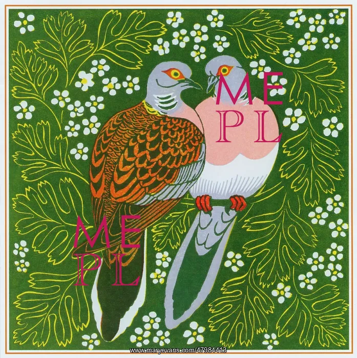 : Two Turtle Doves : Two Turtle Doves