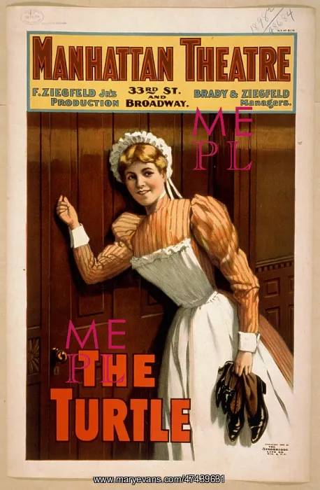 : The turtle F. Ziegfeld Jr's production : The turtle F. Ziegfeld Jr's production