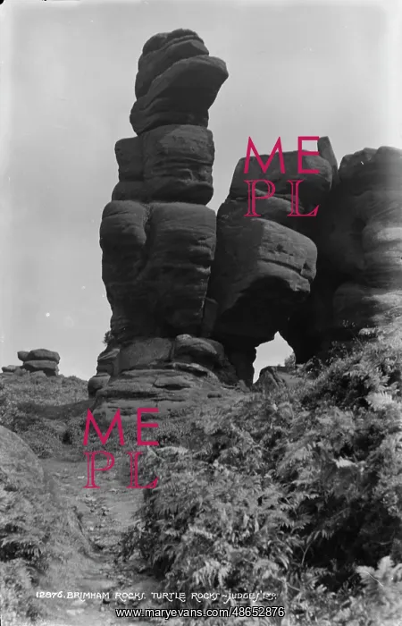 : Turtle Rocks at Brimham Rocks : Turtle Rocks at Brimham Rocks