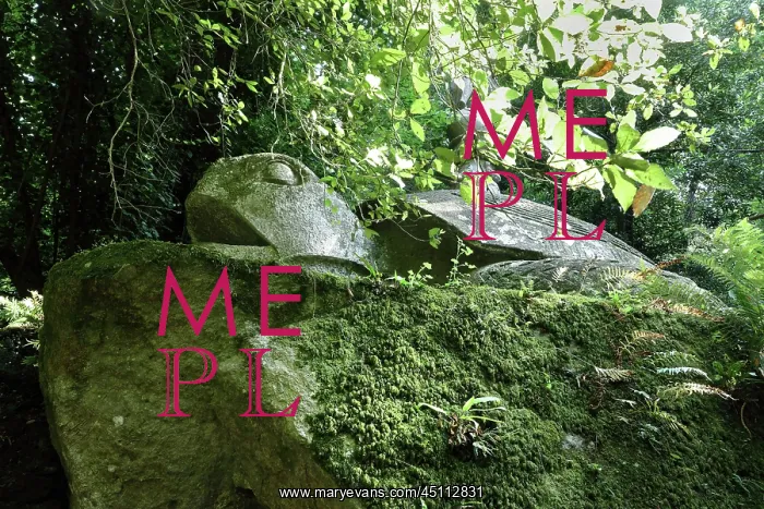 : Turtle sculpture, Garden of Bomarzo, Bomarzo, Lazio, Italy : Turtle sculpture, Garden of Bomarzo, Bomarzo, Lazio, Italy