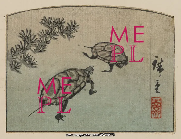  : Turtles. Print shows two turtles. Date between 1848 and 1858