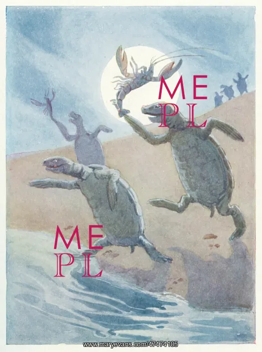 : Turtles throwing lobsters into the sea : Turtles throwing lobsters into the sea