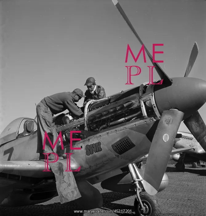 : Tuskegee airmen Marcellus G. Smith, Roscoe ? : Tuskegee airmen Marcellus G. Smith, Roscoe ?
