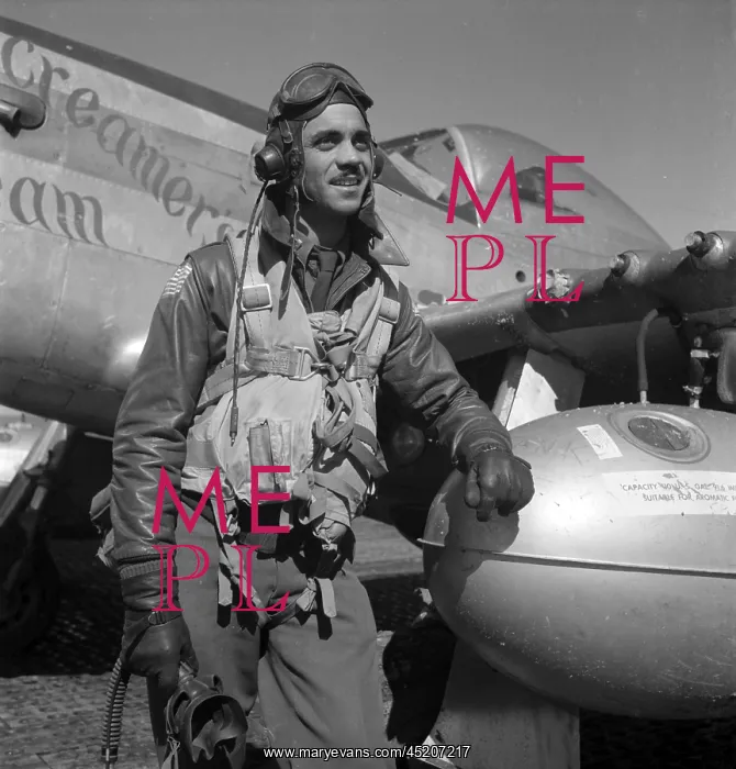 : A Tuskegee fighter pilot poses with his ? : A Tuskegee fighter pilot poses with his ?