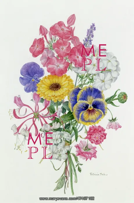 : Tussie-Mussie or Nosegay, Late Summer : Tussie-Mussie or Nosegay, Late Summer