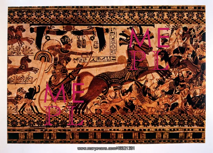 : Tutankhamun in his chariot : Tutankhamun in his chariot