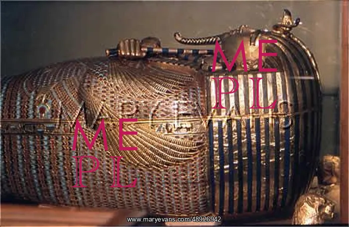 : TUTANKHAMUN SARCOPHAGUS : TUTANKHAMUN SARCOPHAGUS