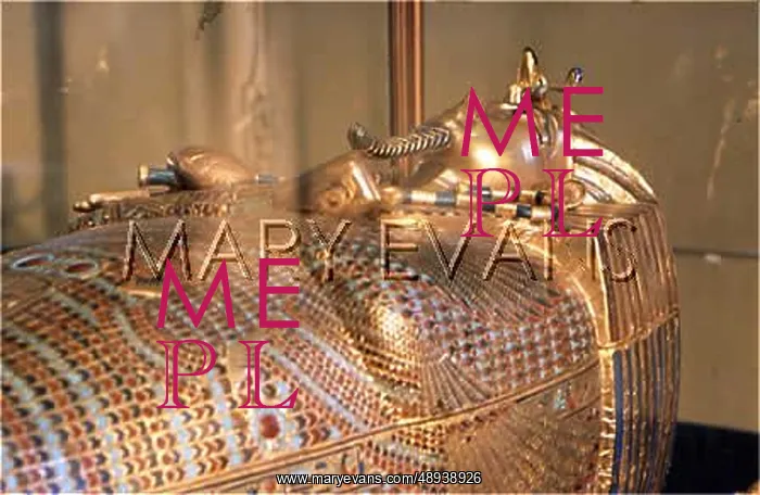 : TUTANKHAMUN SARCOPHAGUS : TUTANKHAMUN SARCOPHAGUS