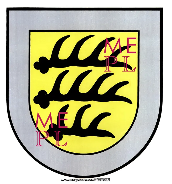: Tuttilingen, Coat of arms : Tuttilingen, Coat of arms