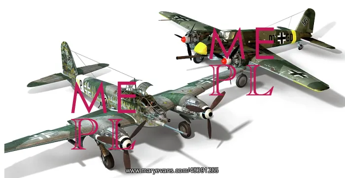 : Two twin-engine aircrafts used by Germany during : Two twin-engine aircrafts used by Germany during