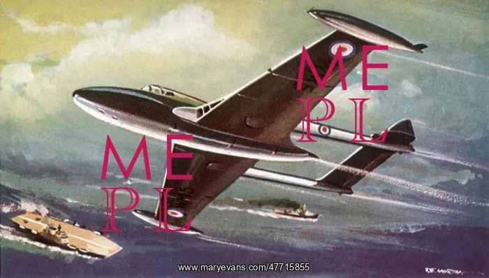 : Twin-Engine Fighter : Twin-Engine Fighter