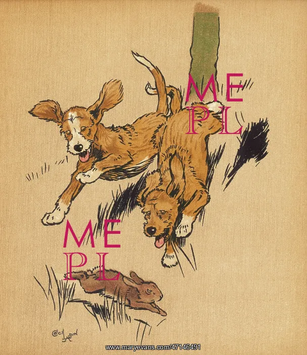 : Twin puppies chasing a rabbit : Twin puppies chasing a rabbit