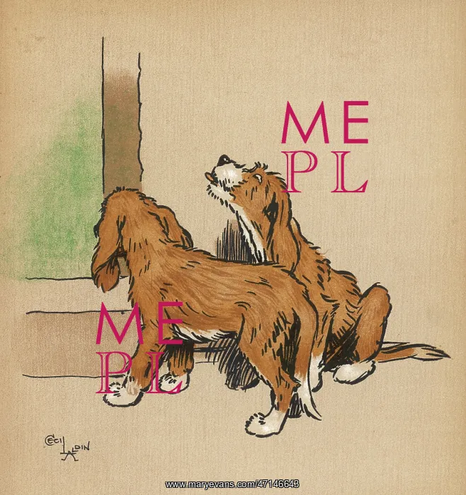 : Twin puppies explore : Twin puppies explore