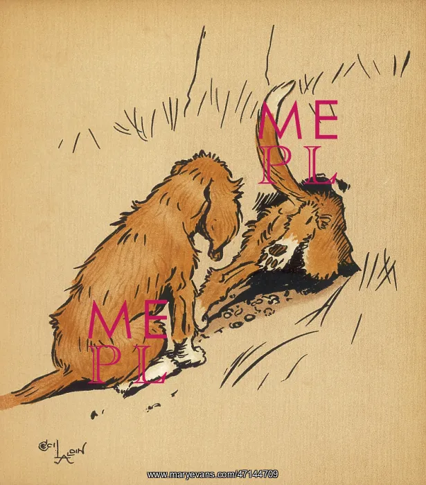 : Twin puppies follow rabbit into burrow : Twin puppies follow rabbit into burrow