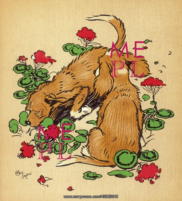 : Twin puppies in geranium bed : Twin puppies in geranium bed