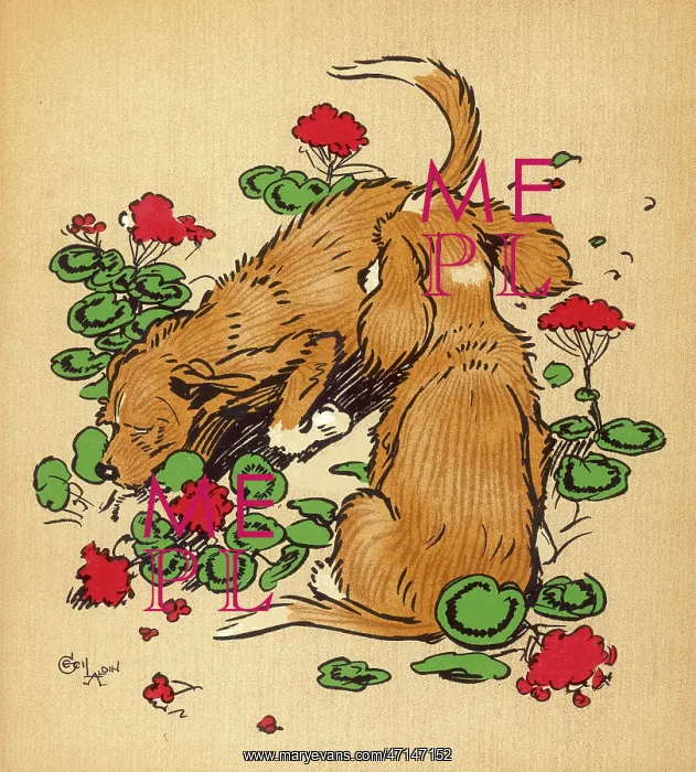 : Twin puppies in geranium bed : Twin puppies in geranium bed