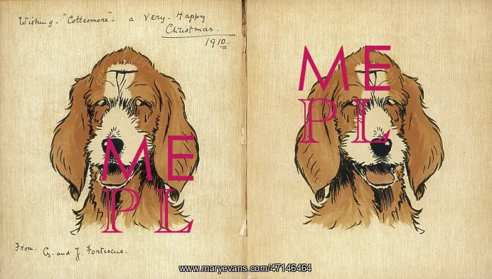 : Twin puppies, inside cover : Twin puppies, inside cover