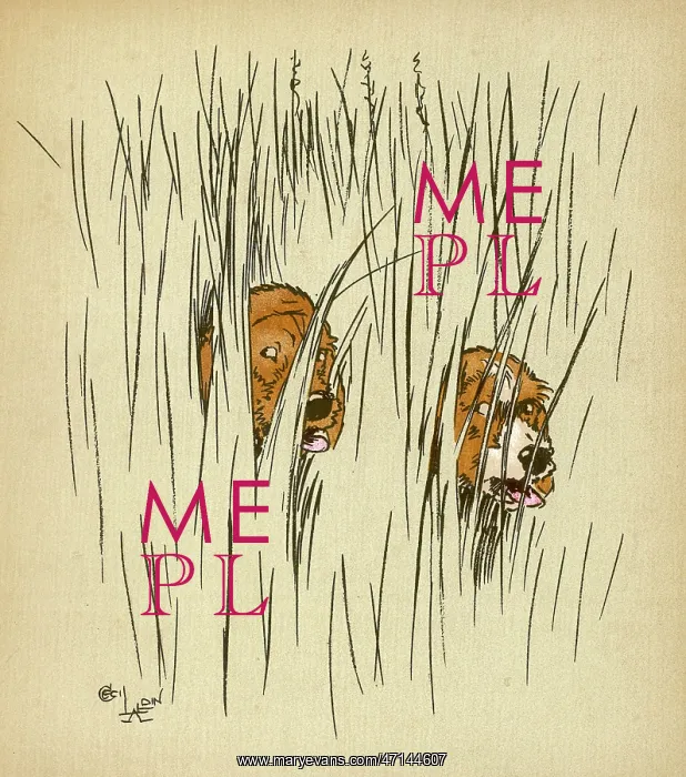 : Twin puppies lost in undergrowth : Twin puppies lost in undergrowth