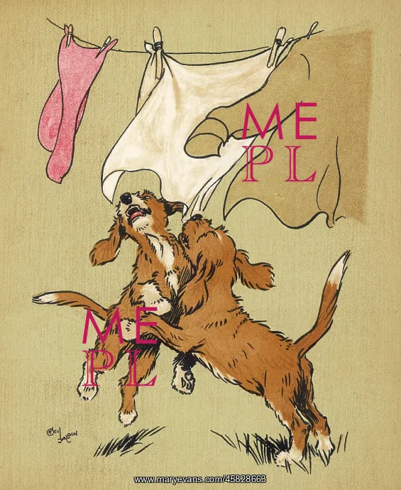 : Twin puppies and washing line : Twin puppies and washing line