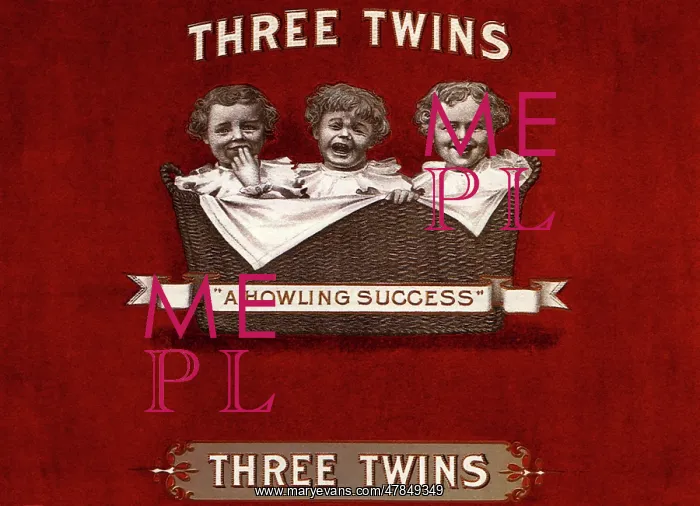  : Three Twins