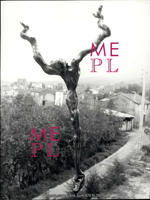 : Twisted vine looks like a sculpture of Christ, near Toulouse : Twisted vine looks like a sculpture of Christ, near Toulouse