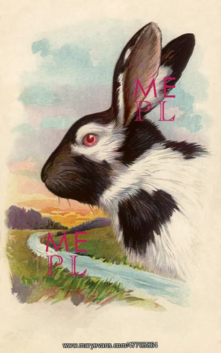  : Two-Colored Bunny