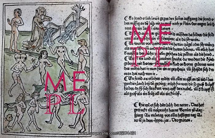 : Two-headed, one-legged, headless, Cynocephali, hermaphrodite : Two-headed, one-legged, headless, Cynocephali, hermaphrodite