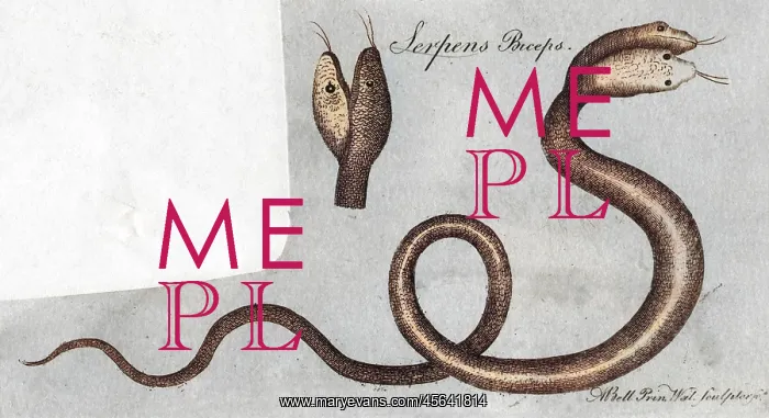  : TWO-HEADED SNAKE / C.1770