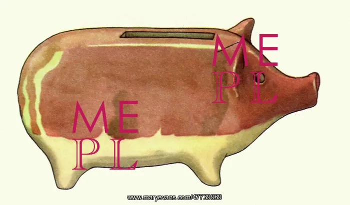 : Two-Tone Piggy Bank : Two-Tone Piggy Bank