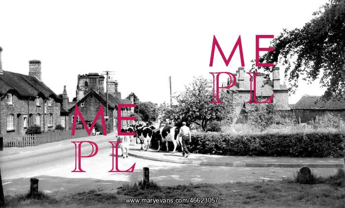  : Twycross, the Village c1960