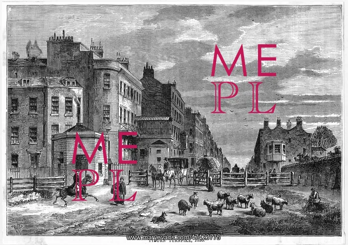 : TYBURN TURNPIKE : TYBURN TURNPIKE