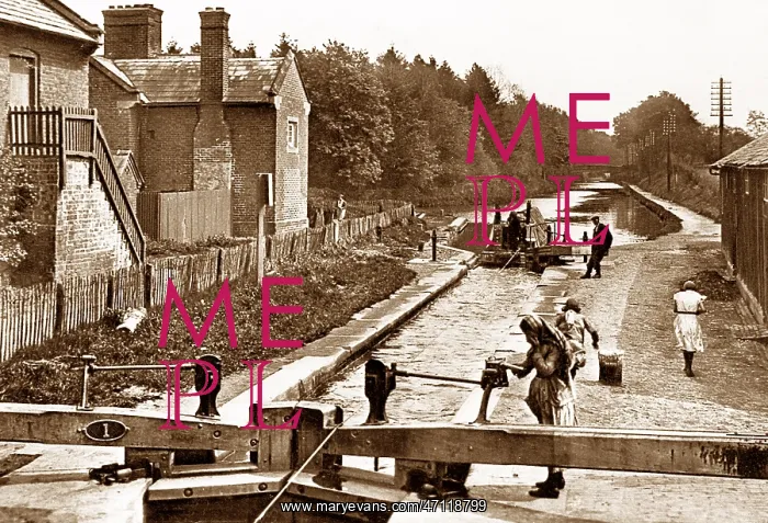  : Tyley Locks, Market Drayton